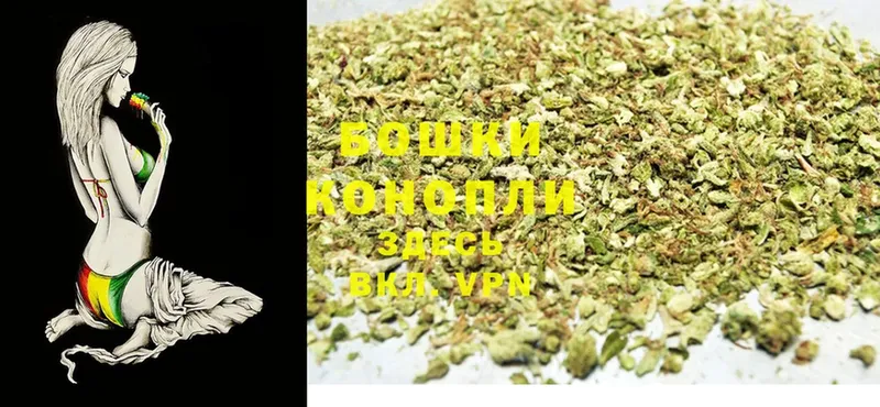 Бошки марихуана SATIVA & INDICA  Солигалич 